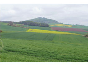 Bittprozession an der Weingartenkapelle (Foto: Karl-Franz Thiede)